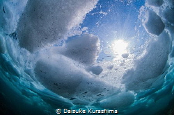 Drift ice diving in Shiretoko,Hokkaido,Japan. by Daisuke Kurashima 